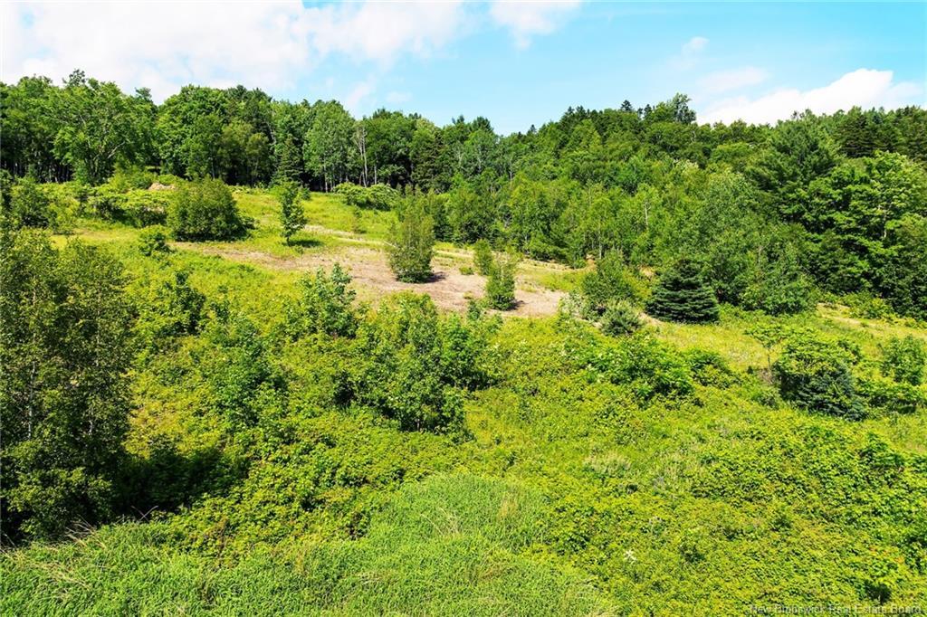 Na Grand Pass Crt, Douglas, NB