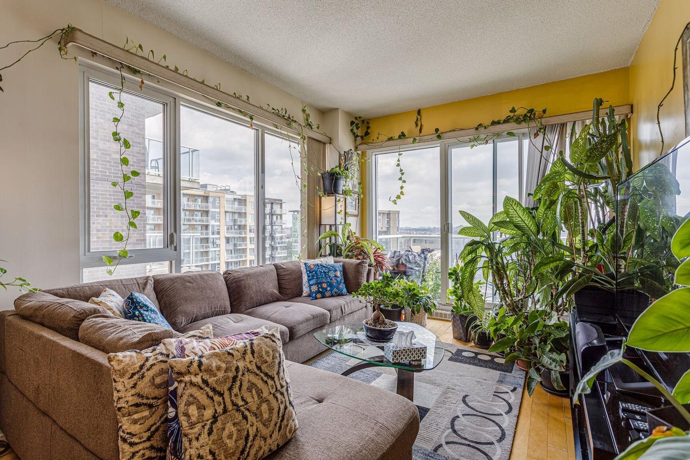 Salon - 1409-10150 Place De L'Acadie, Montréal (Ahuntsic-Cartierville), QC - Indoor Photo Showing Living Room