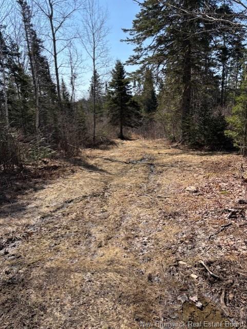 75 Pomeroy Ridge Rd, Pomeroy Ridge, NB