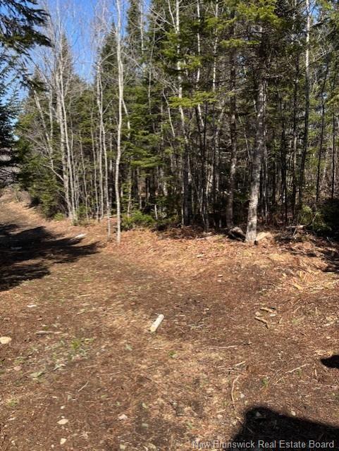 75 Pomeroy Ridge Rd, Pomeroy Ridge, NB