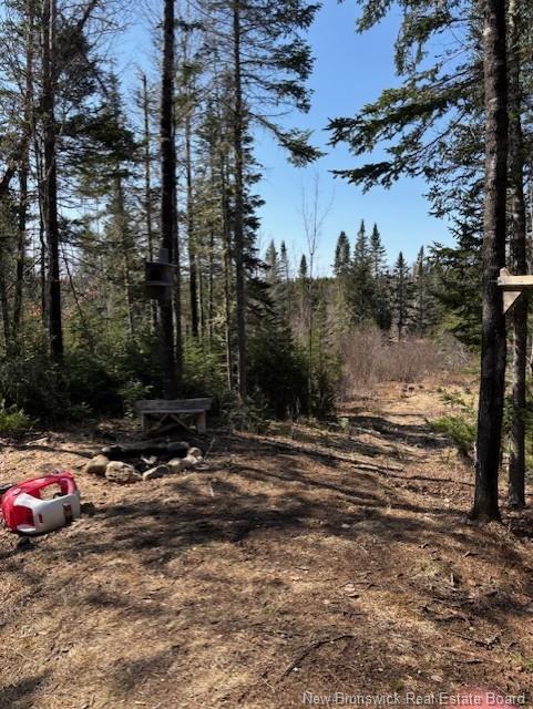 75 Pomeroy Ridge Rd, Pomeroy Ridge, NB