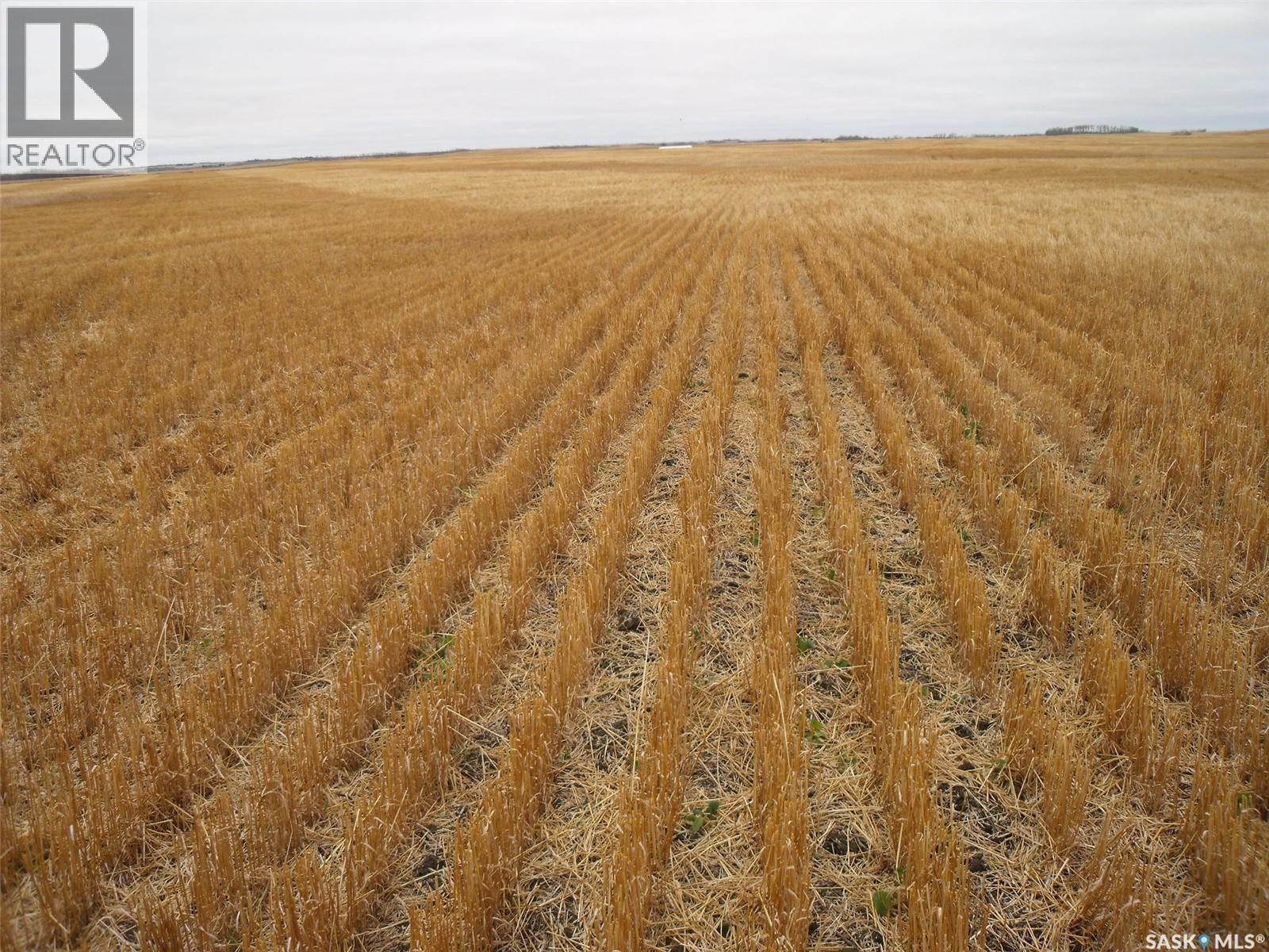 Olsen Quarter, Birch Hills Rm No. 460, SK