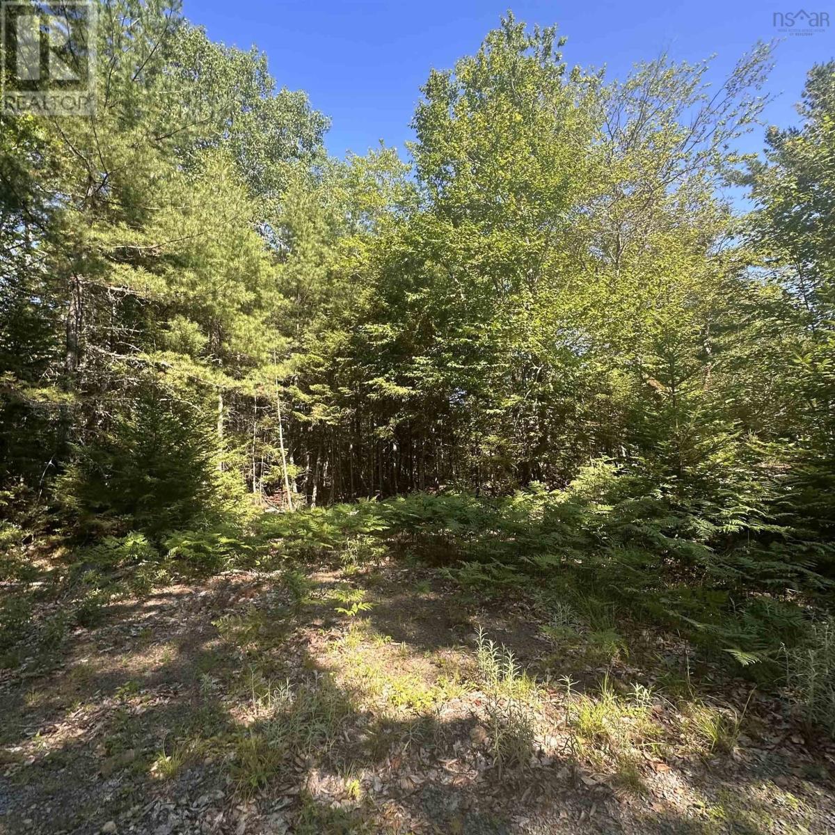 (Pid 70241864) Wellington Road, Buckfield, NS