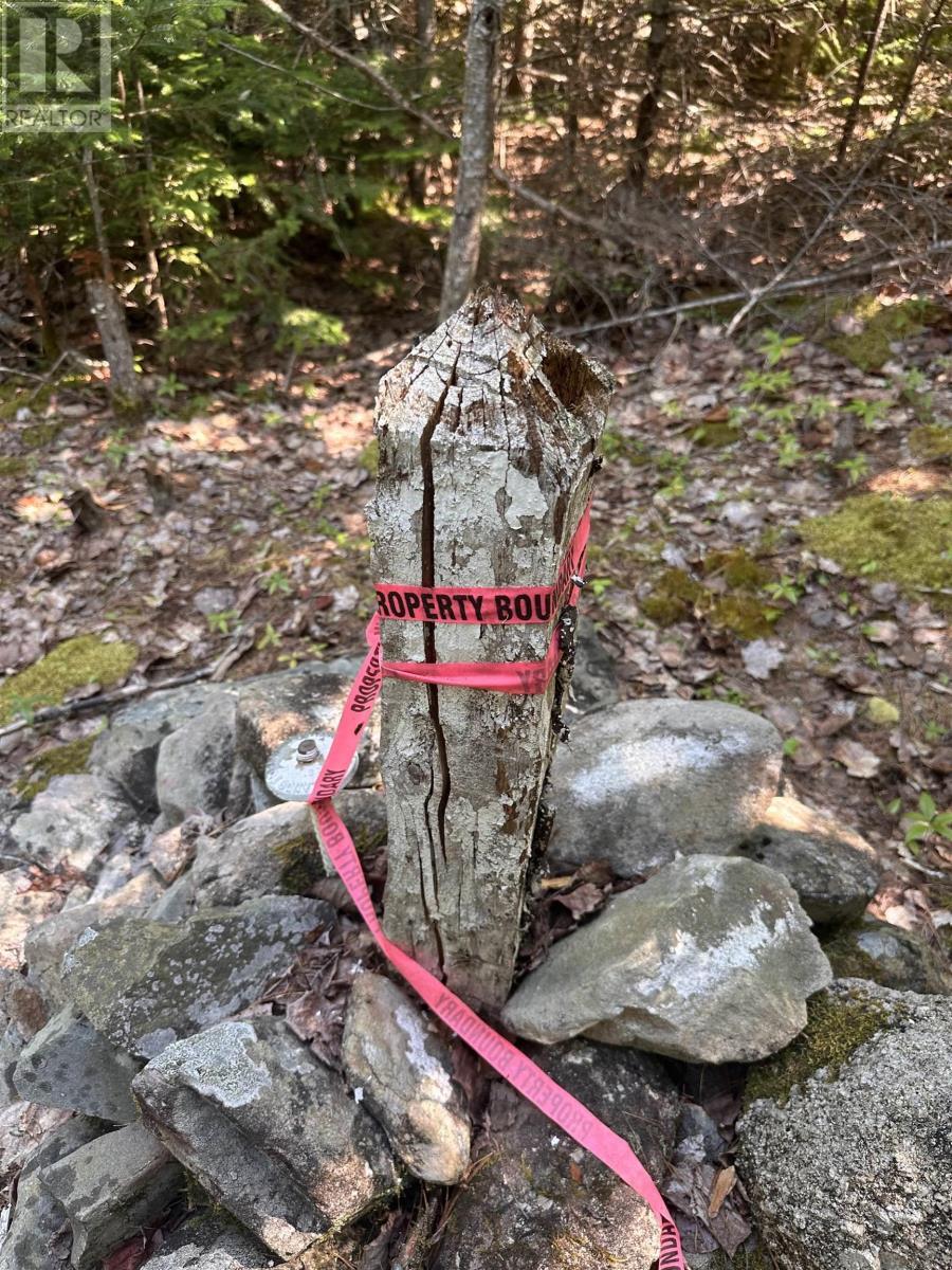 (Pid 70241864) Wellington Road, Buckfield, NS