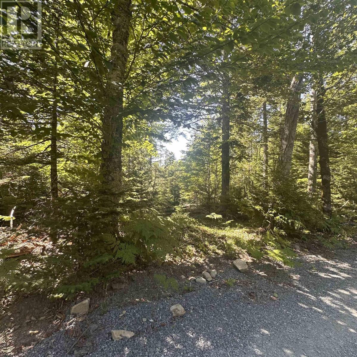 (Pid 70241864) Wellington Road, Buckfield, NS