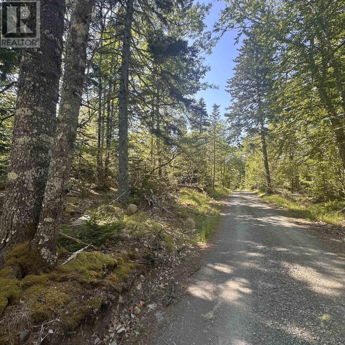 (Pid 70241864) Wellington Road, Buckfield, NS