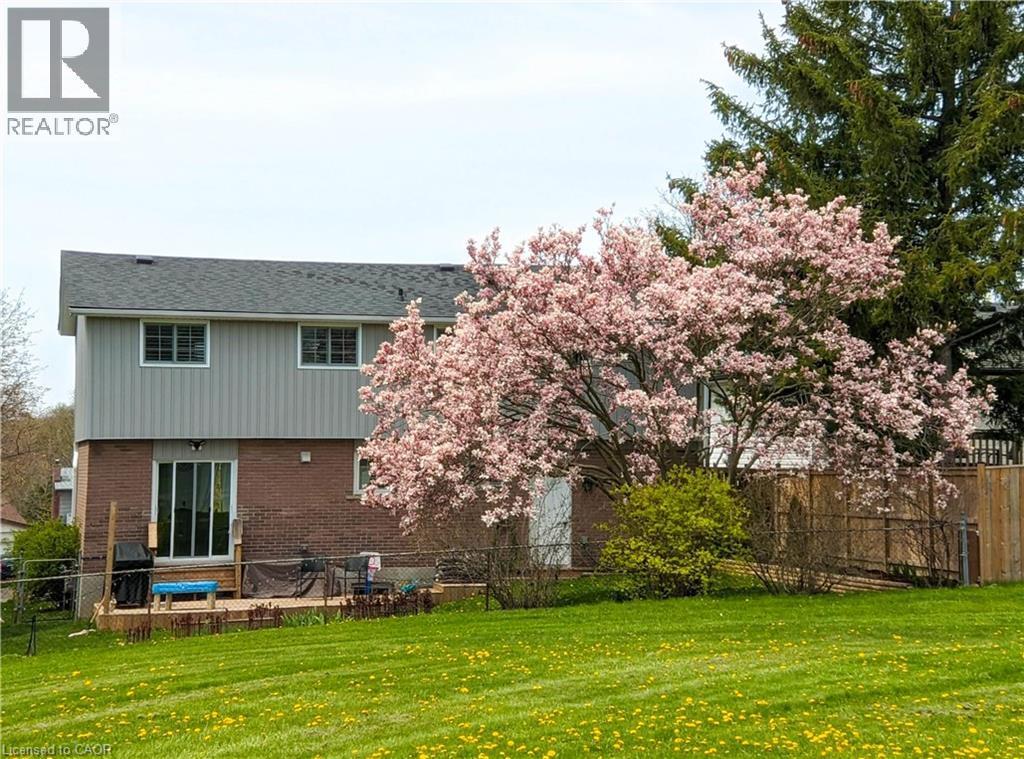 Large backyard with a deck (view from park) - 51 Nathaniel Crescent, Kitchener, ON - Outdoor