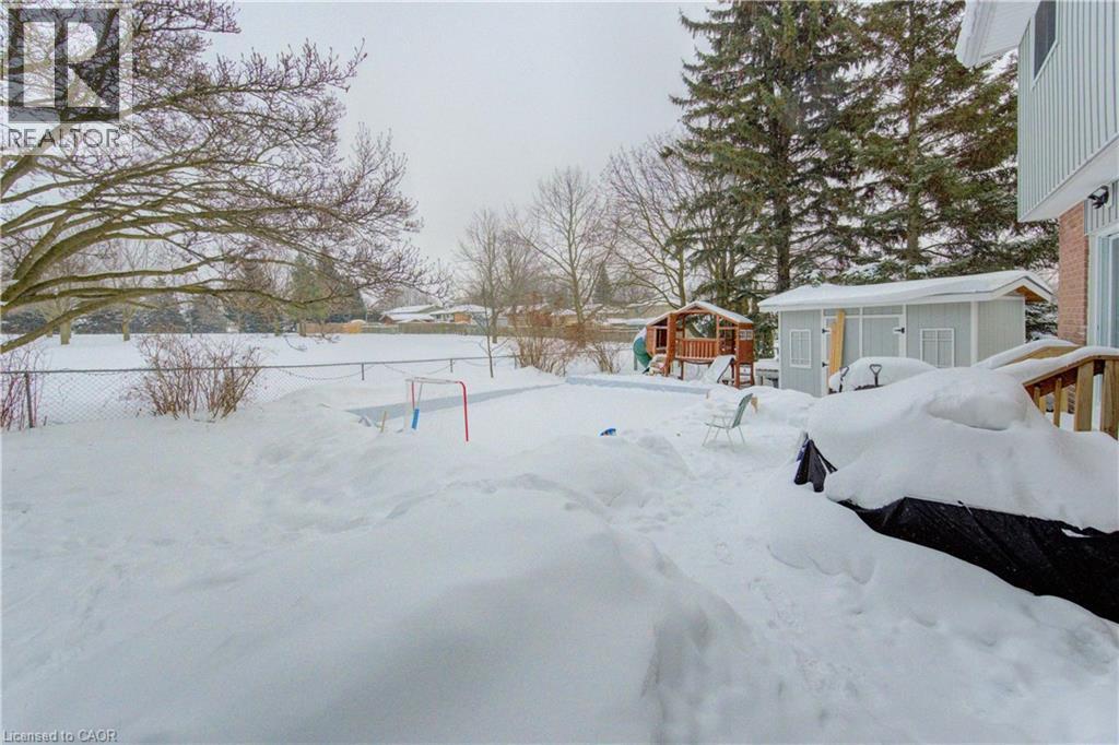 Shed and play structures are included - 51 Nathaniel Crescent, Kitchener, ON - Outdoor