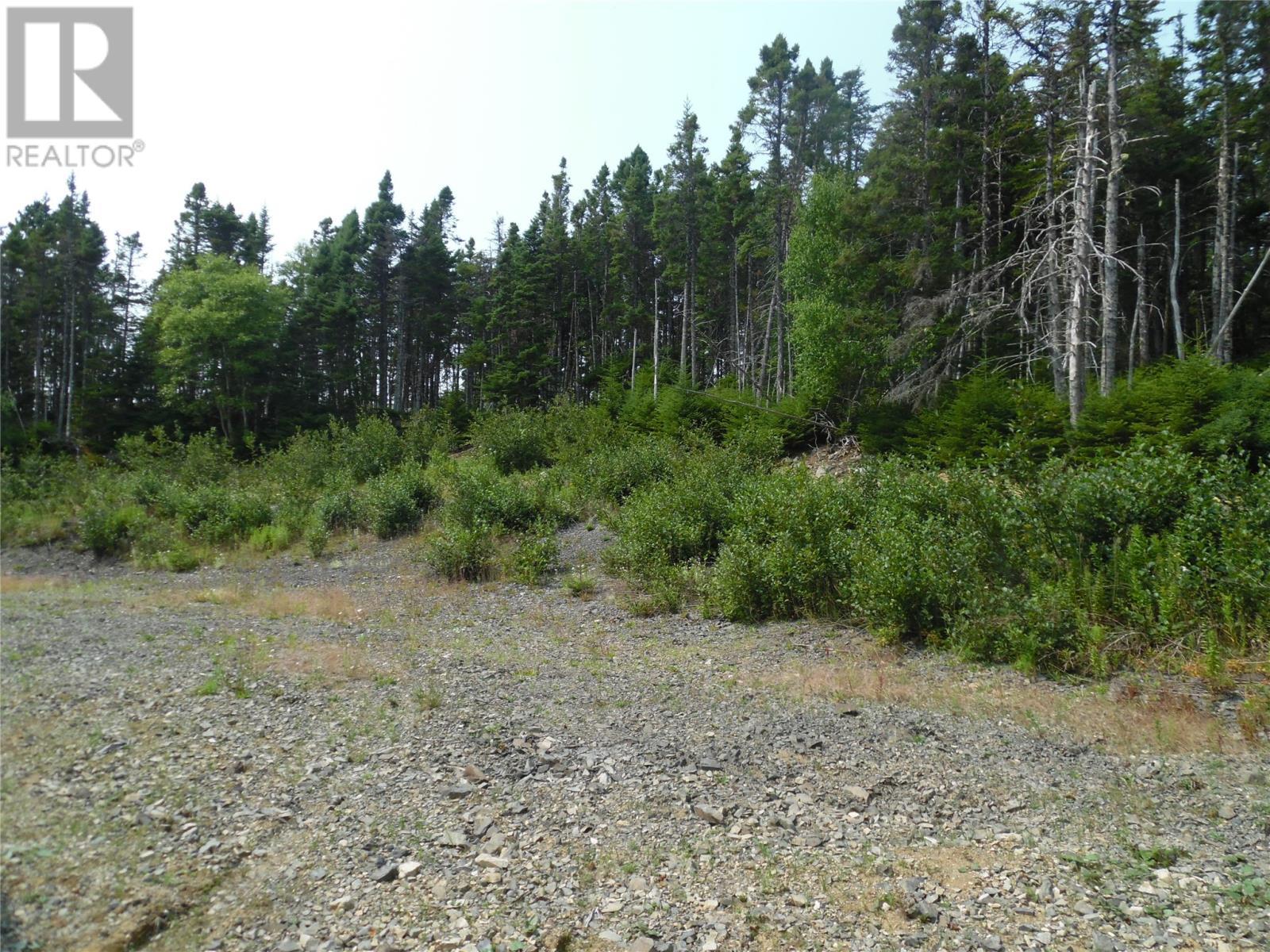 5 Harbour Drive, Hillview, NL - Outdoor