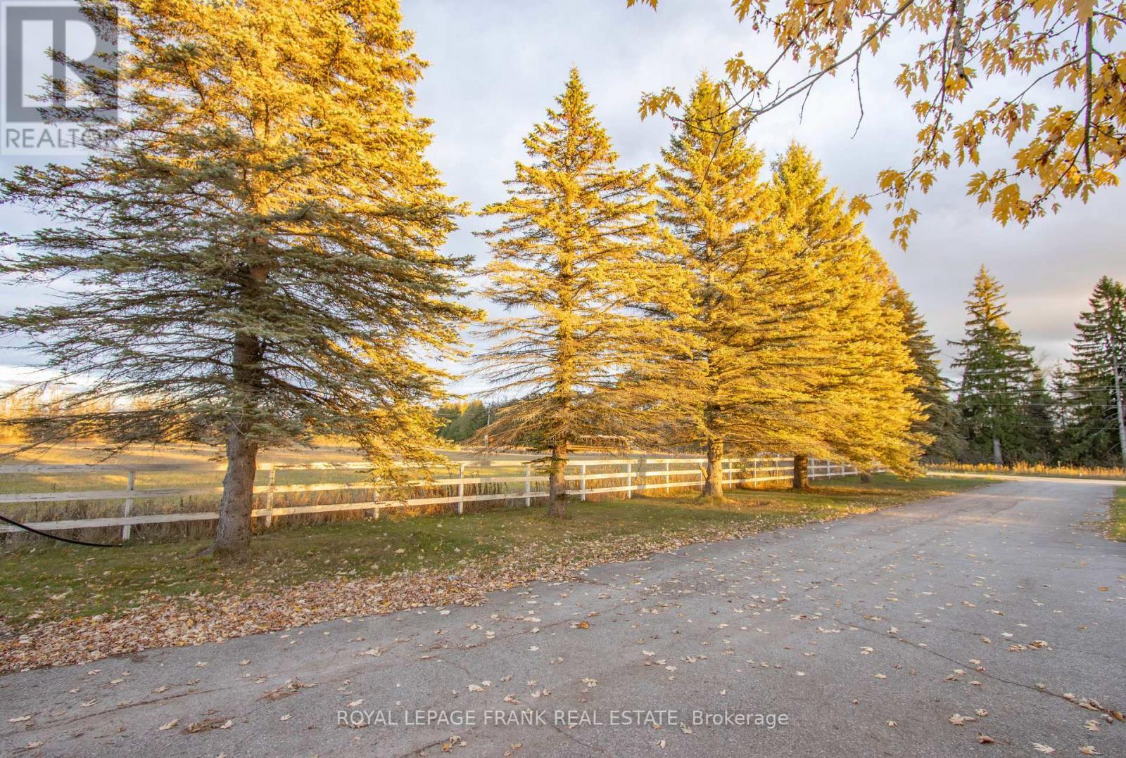 350 Cambray Road, Kawartha Lakes (Fenelon), ON - Outdoor With View