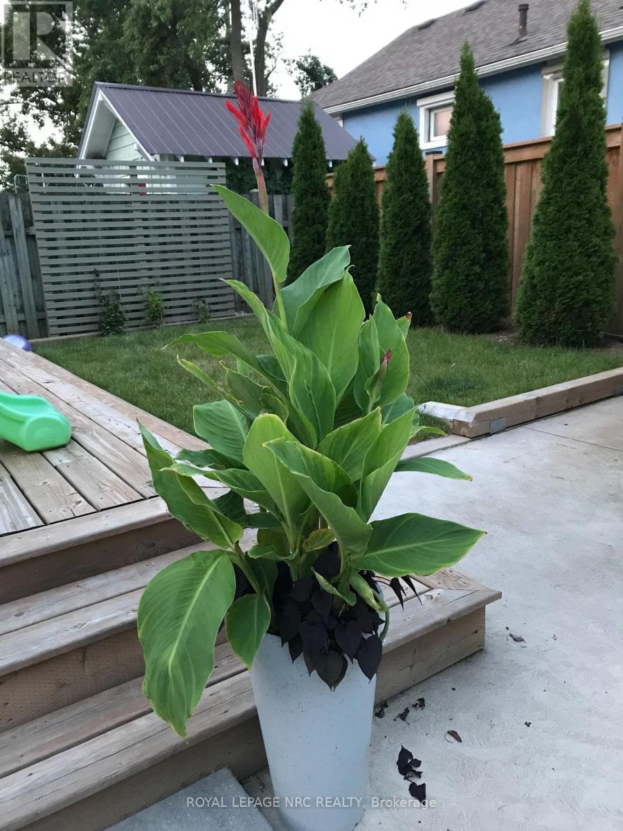 Greenspace - 76 Henry Street, St. Catharines (Downtown), ON - Outdoor