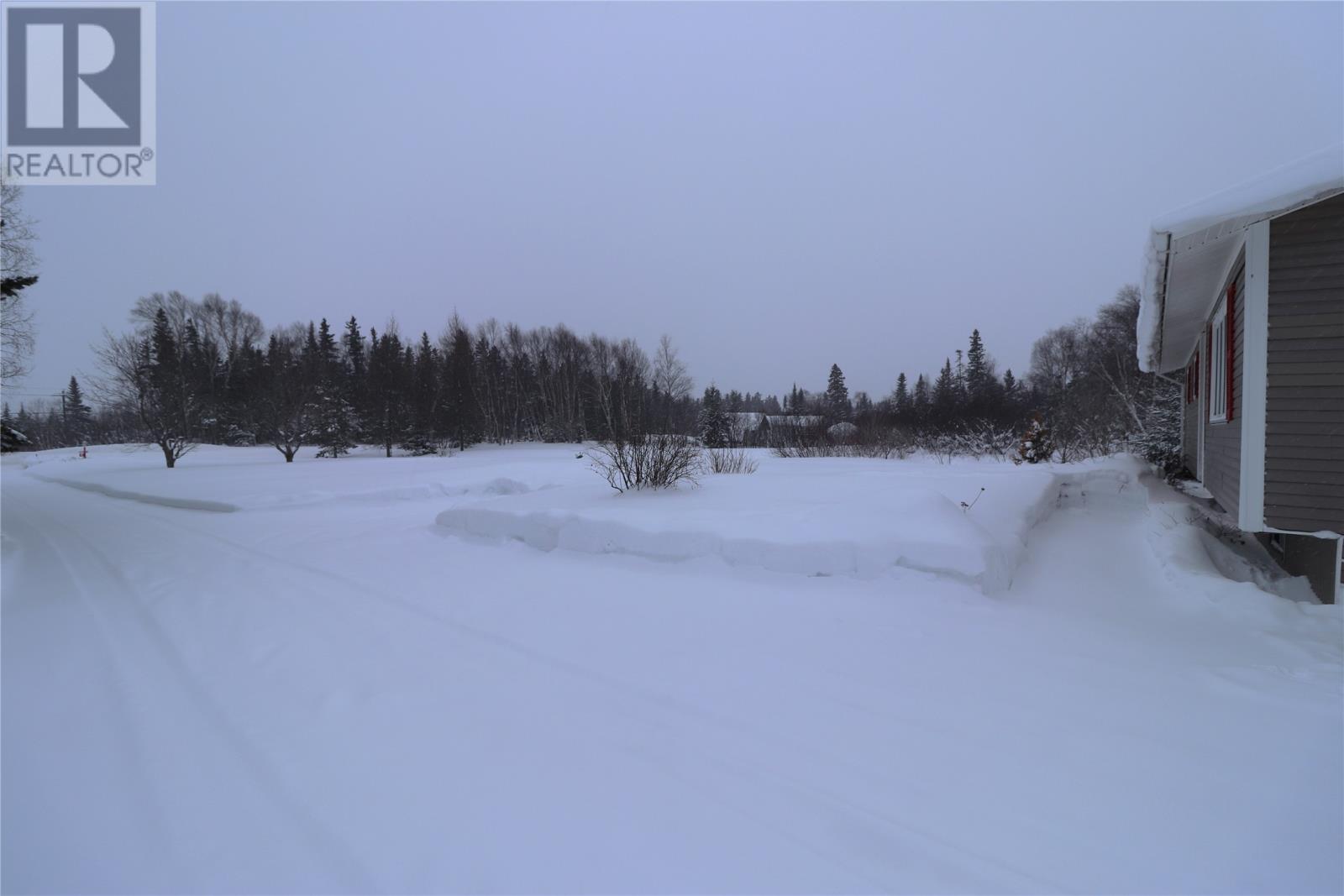 65 Veterans Drive, Cormack, NL - Outdoor With View