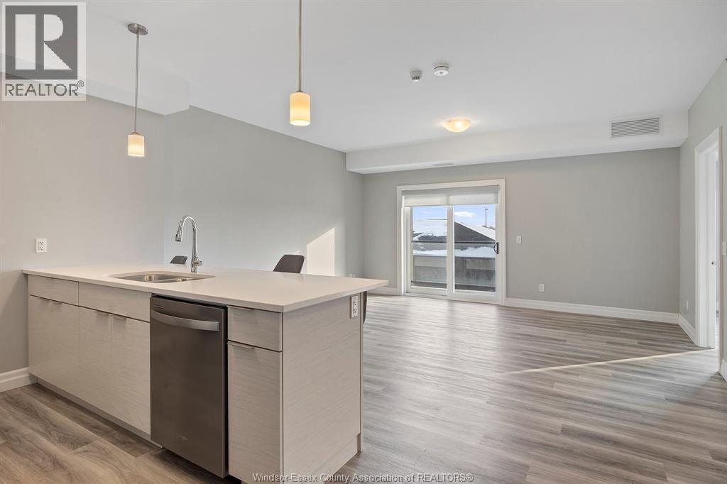 728 Brownstone Drive Unit# 201, Tecumseh, ON - Indoor Photo Showing Kitchen