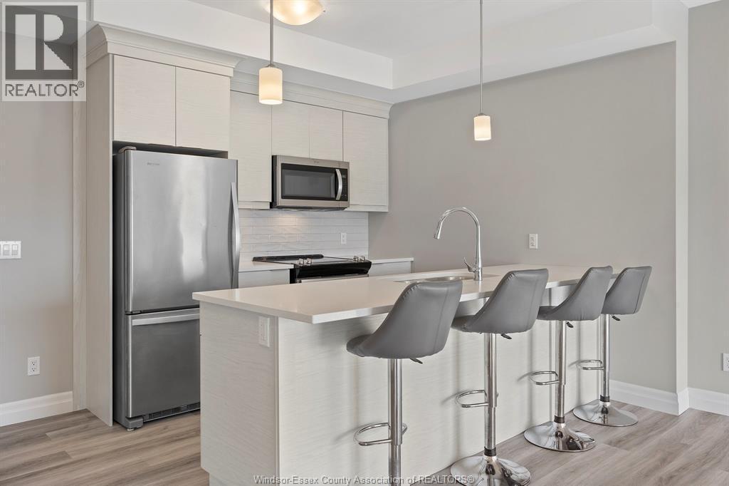 728 Brownstone Drive Unit# 201, Tecumseh, ON - Indoor Photo Showing Kitchen With Stainless Steel Kitchen With Upgraded Kitchen