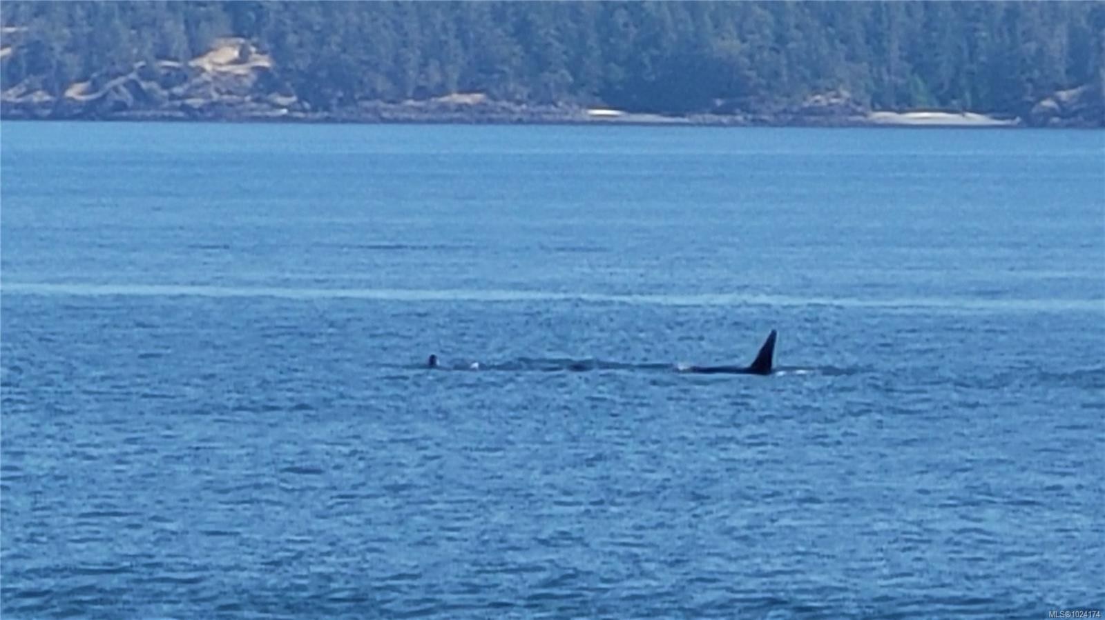 14 Spring Bay Rd, Lasqueti Island, BC