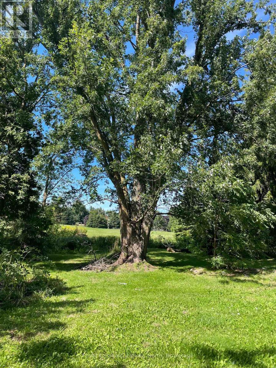 9038 County Rd 91 Road, Clearview, ON - Outdoor