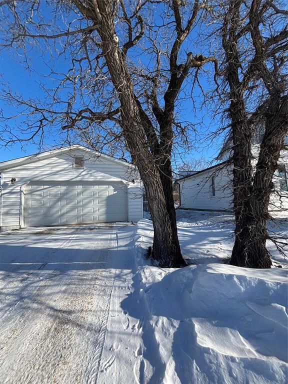 356 Cliff Street, Wawanesa, MB - Outdoor With View