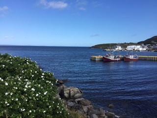 213A Main Road, Winterton, NL