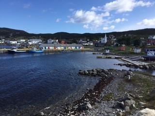 213A Main Road, Winterton, NL