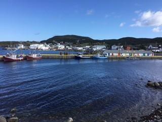 213A Main Road, Winterton, NL