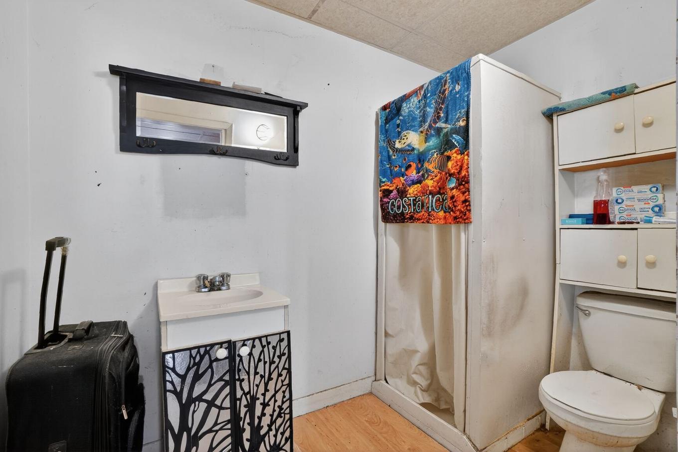 Logement - 1227 - 1229 Rue Principale, Saint-Roch-De-L'Achigan, QC - Indoor Photo Showing Bathroom