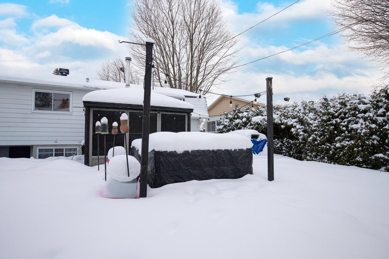 Cour - 24 Place Lévis, Saint-Bruno-De-Montarville, QC - Outdoor