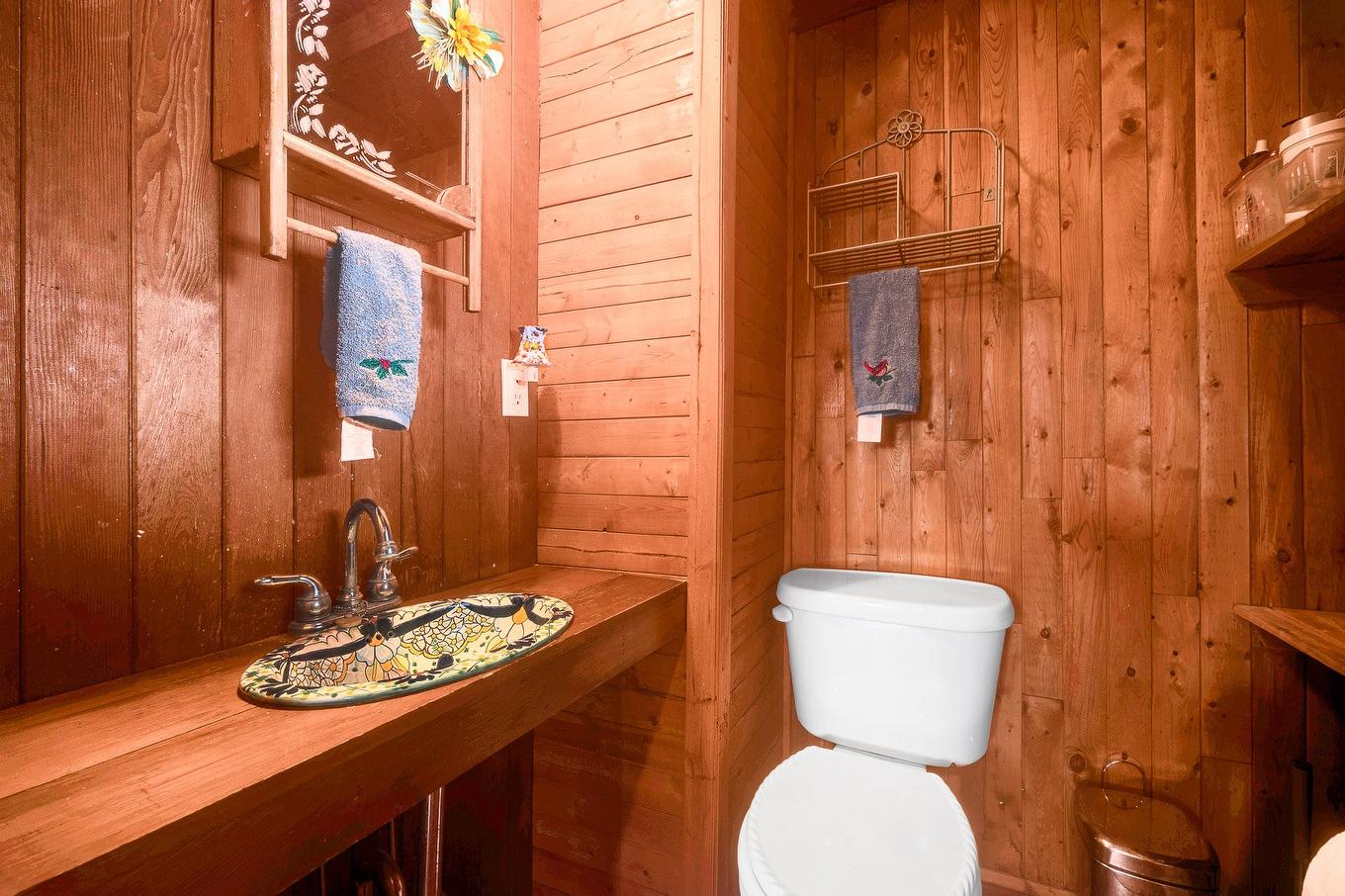 Salle d'eau - 775 Ch. Tamaracouta, Mille-Isles, QC - Indoor Photo Showing Bathroom