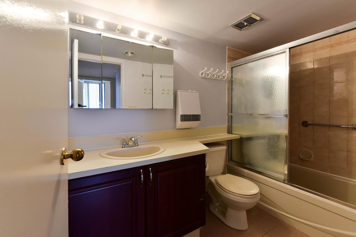 Bathroom - 207-1081 Rue St-Urbain, Montréal (Ville-Marie), QC - Indoor Photo Showing Bathroom