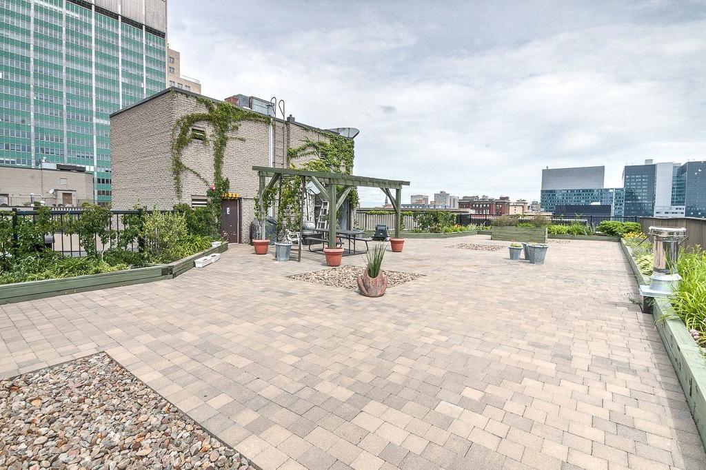 Patio - 207-1081 Rue St-Urbain, Montréal (Ville-Marie), QC - Outdoor