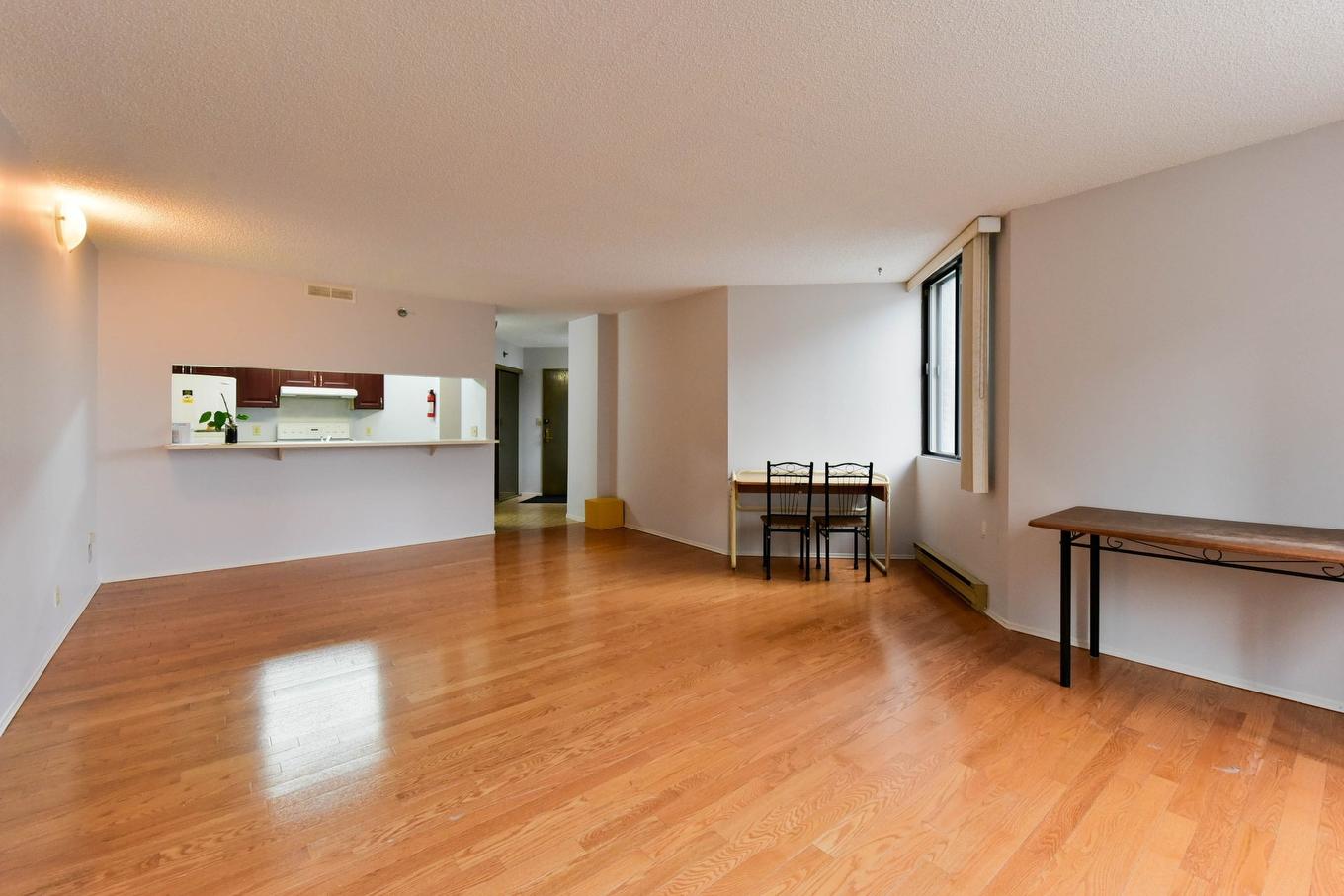 Living room - 207-1081 Rue St-Urbain, Montréal (Ville-Marie), QC - Indoor