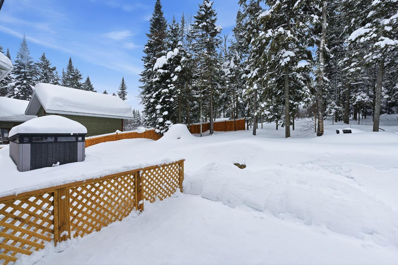 Cour - 1076 Rue Des Huards, Sainte-Agathe-Des-Monts, QC - Outdoor