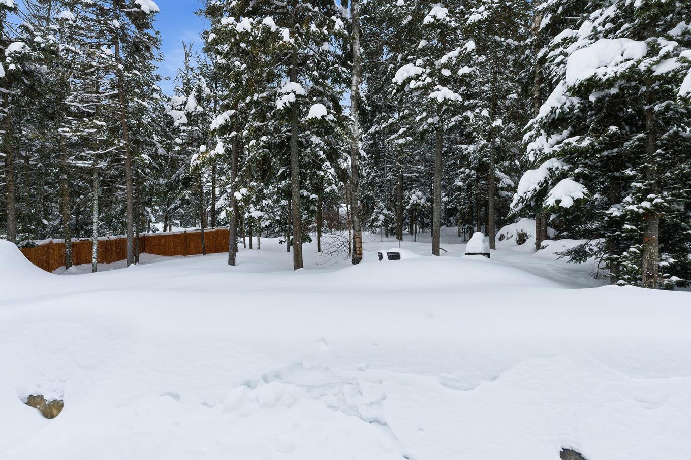 Cour - 1076 Rue Des Huards, Sainte-Agathe-Des-Monts, QC - Outdoor