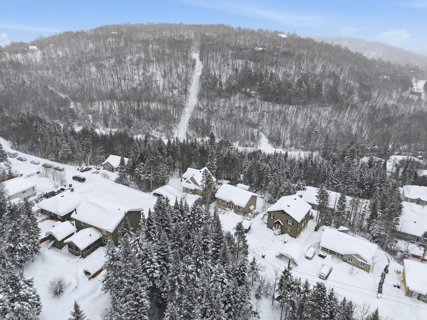 Vue d'ensemble - 1076 Rue Des Huards, Sainte-Agathe-Des-Monts, QC - Outdoor With View