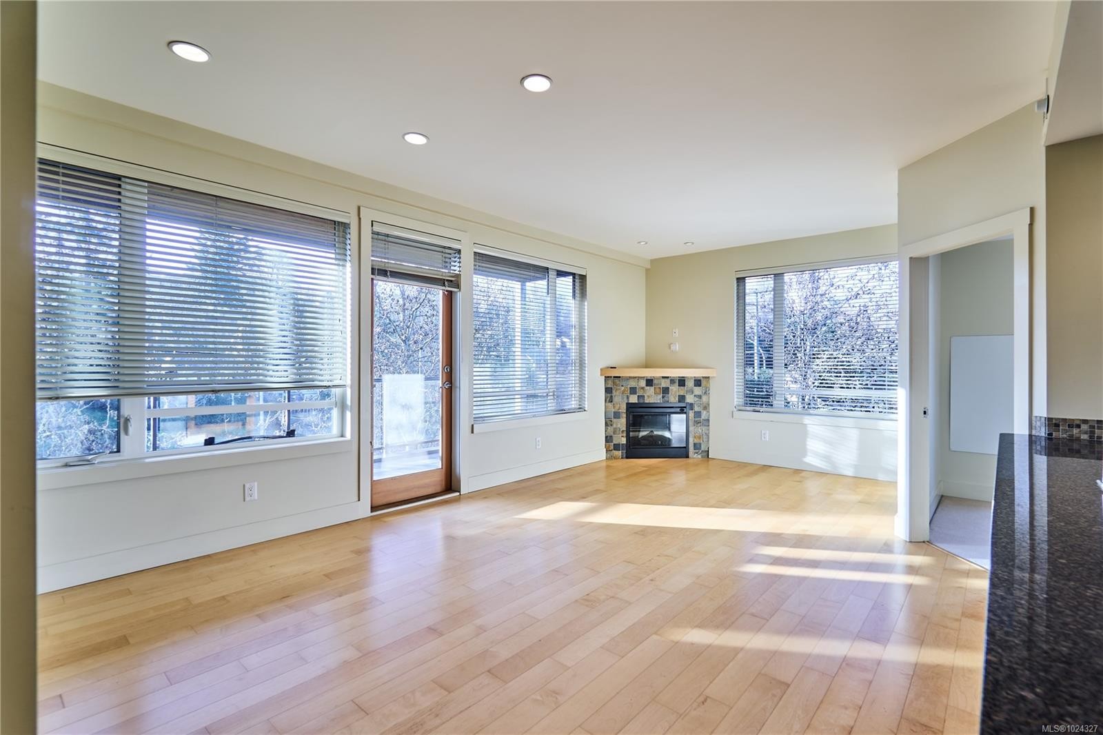302-580 Stewart Ave, Nanaimo, BC - Indoor Photo Showing Living Room With Fireplace