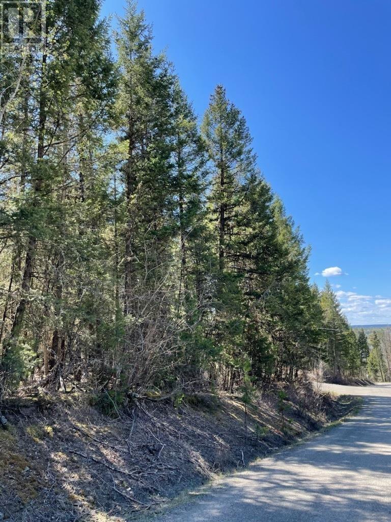 1 Sussnee Road, 108 Mile Ranch, BC