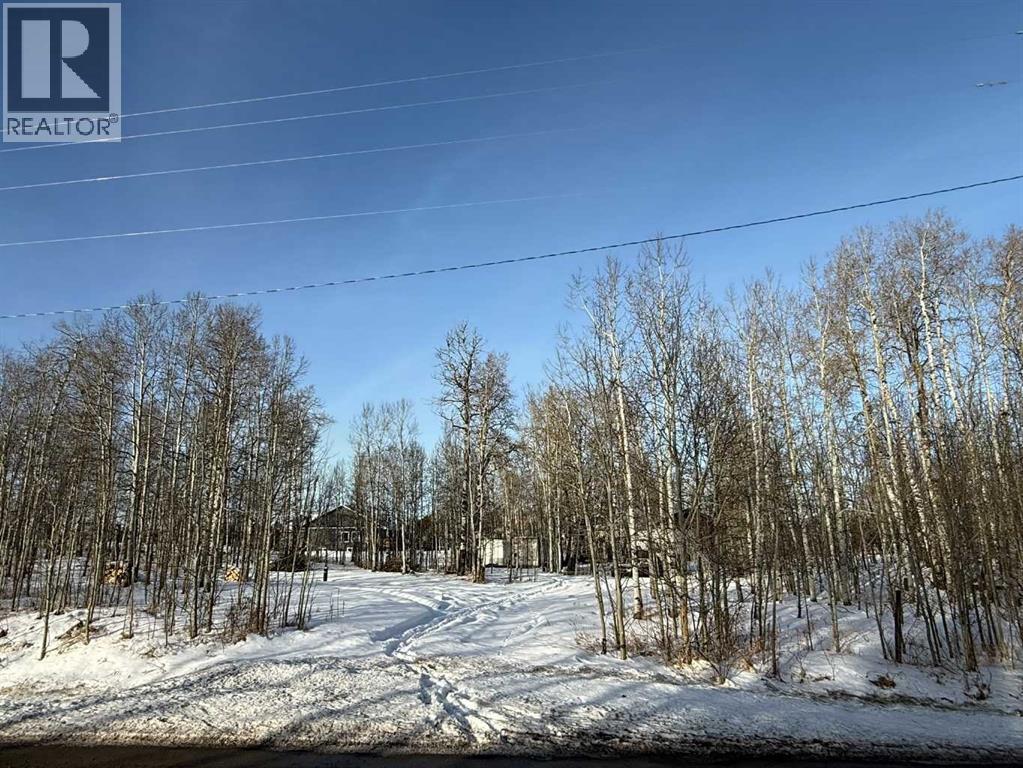 South lot line - 3, 5228 Highway 579, Rural Mountain View County, AB
