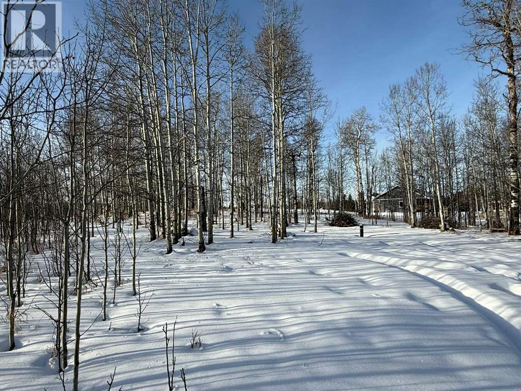 Hwy 570 Treed Approach - 3, 5228 Highway 579, Rural Mountain View County, AB