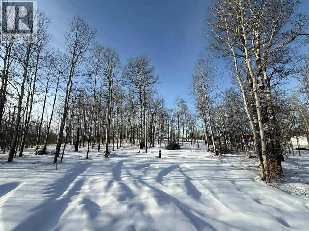 Highway 579 Treed Approach - 3, 5228 Highway 579, Rural Mountain View County, AB