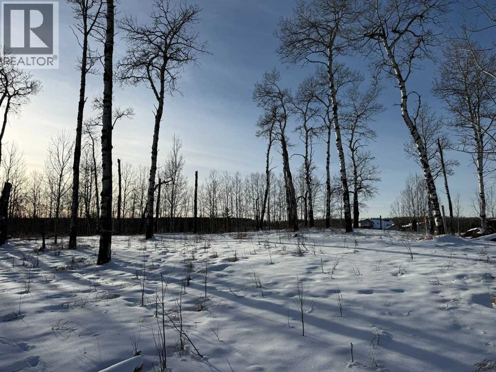 From centre of property facing west- perfect spot for a walkout! - 3, 5228 Highway 579, Rural Mountain View County, AB