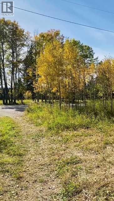 Fall driveway - 3, 5228 Highway 579, Rural Mountain View County, AB