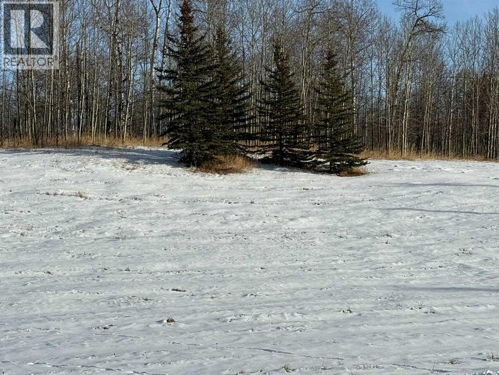 West lot line - 3, 5228 Highway 579, Rural Mountain View County, AB