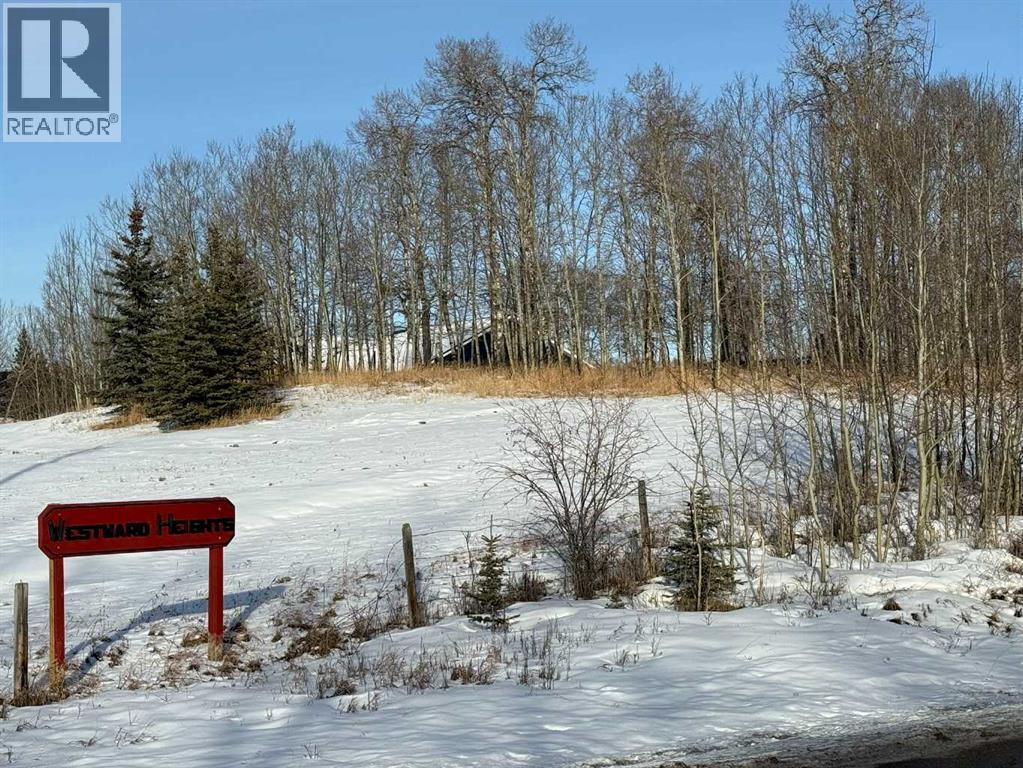 3, 5228 Highway 579, Rural Mountain View County, AB