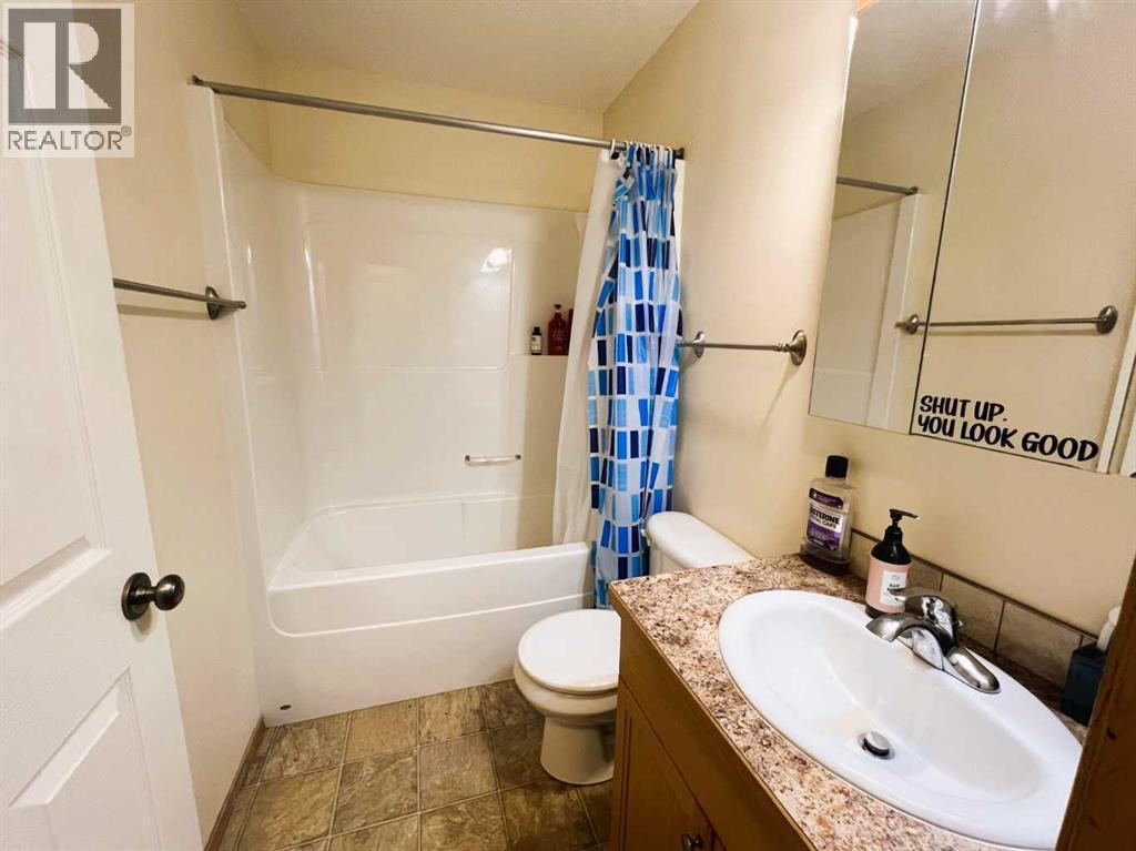 492 Hilton Crescent Ne, Medicine Hat, AB - Indoor Photo Showing Bathroom