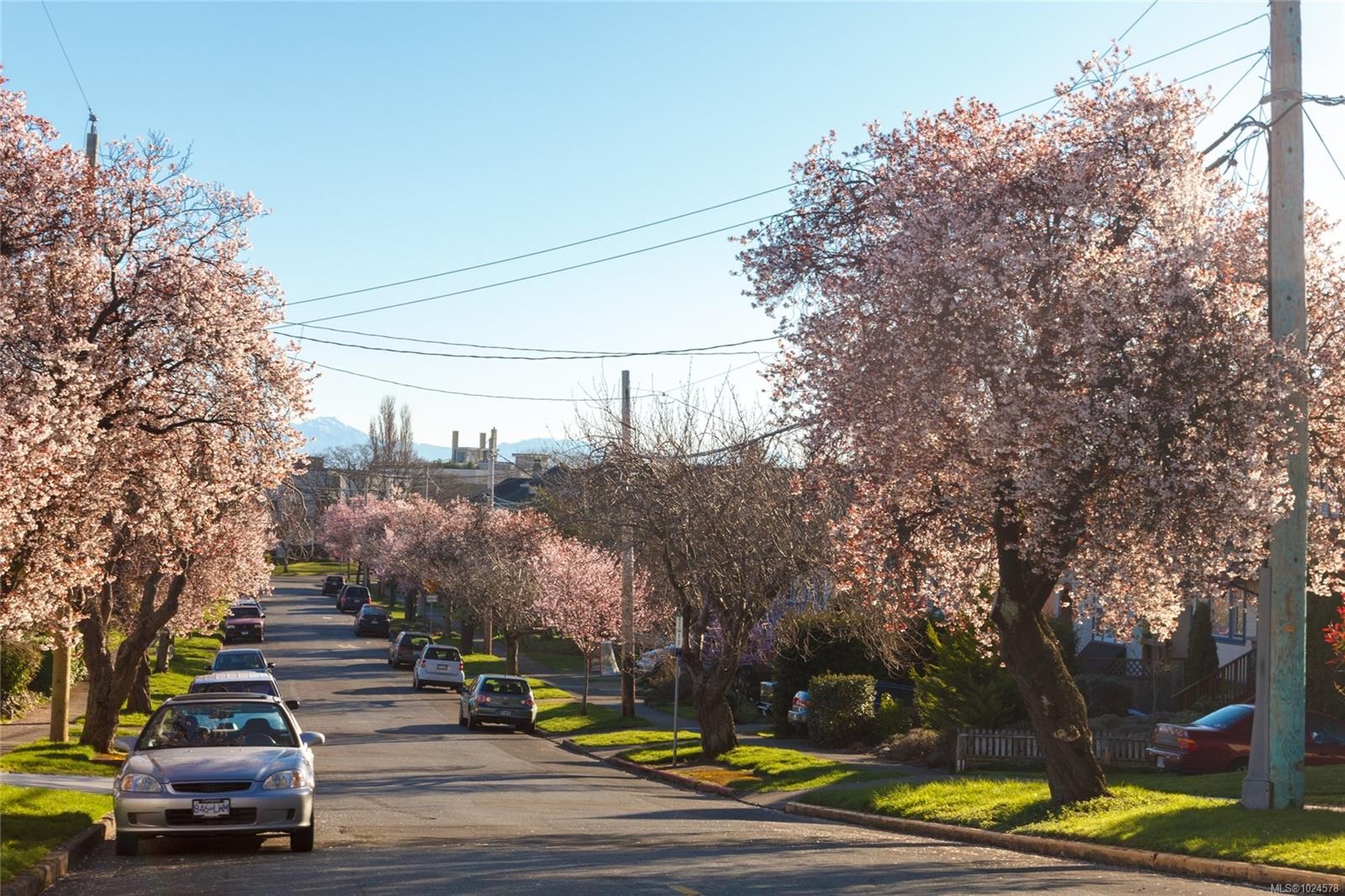 160 Joseph St, Victoria, BC