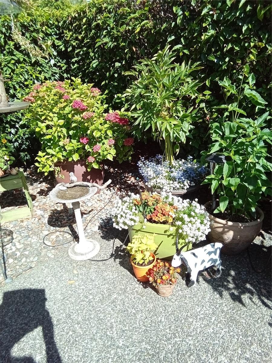 7952 Polo Park Cres, Central Saanich, BC