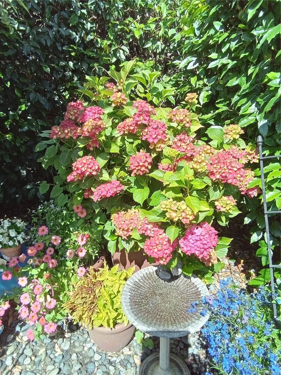 7952 Polo Park Cres, Central Saanich, BC