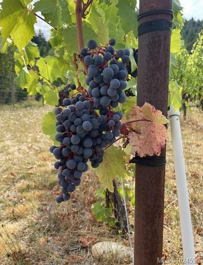 1680 Peligren Pl, Qualicum Beach, BC