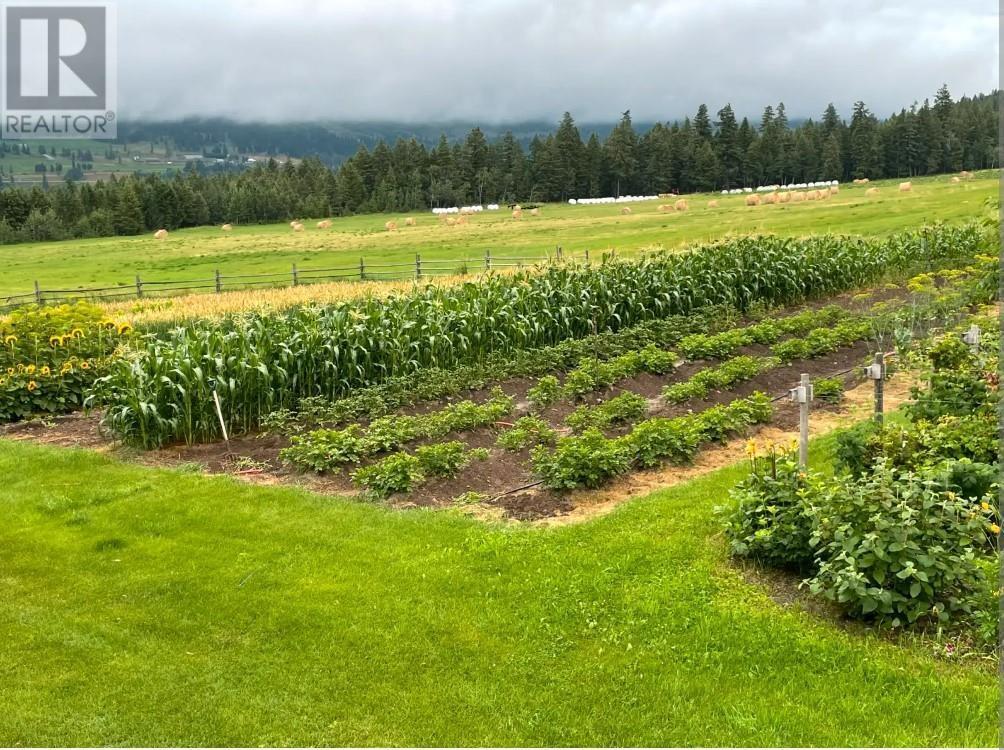 10281 Lee Road, Williams Lake, BC - Outdoor With View