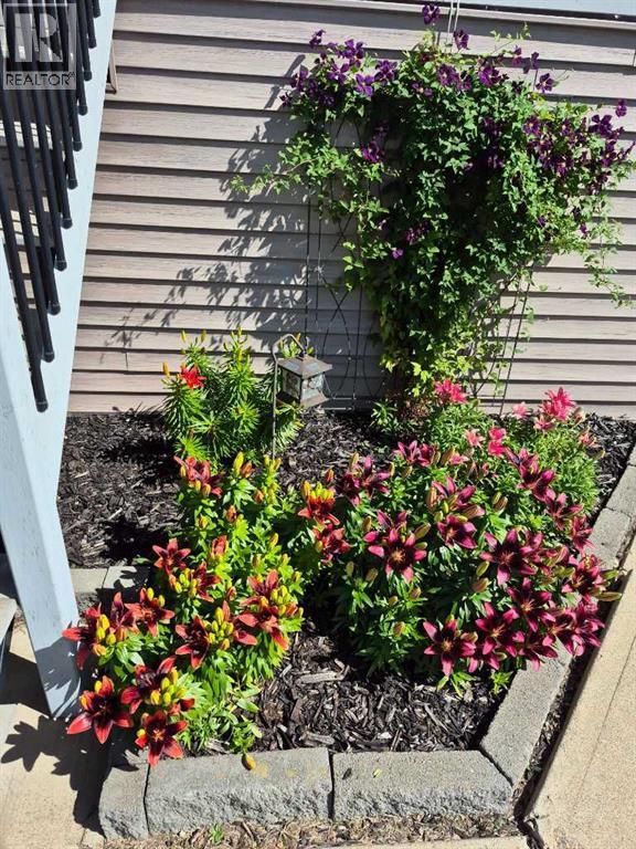 52 Ross Haven Way Se, Medicine Hat, AB - Outdoor