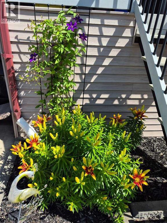 52 Ross Haven Way Se, Medicine Hat, AB - Outdoor